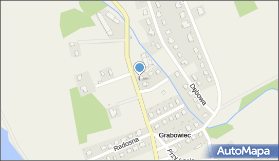 8792481283, Przedsiębiorstwo Handlowo-Transportowe Obrót Hurtowy Drewnem Lewandowski Krzysztof 