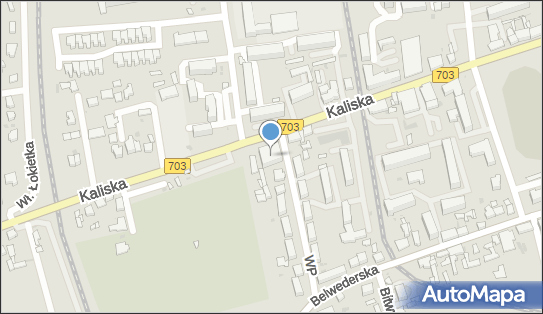 004732556, 1.Kino