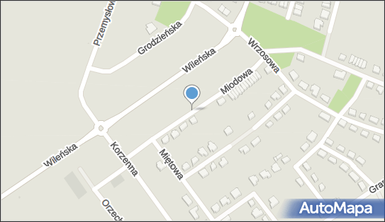 Krzysztof Okuniewski, ul. Miodowa 8, Nowa Wieś Lęborska 84-351 - Przedsiębiorstwo, Firma, NIP: 8411169319