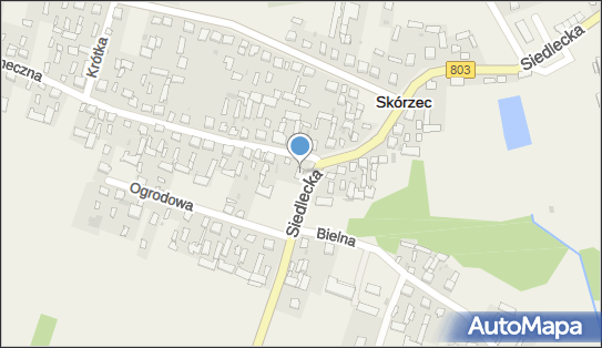8212352966, Krzysztof Prokurat Global Experience 