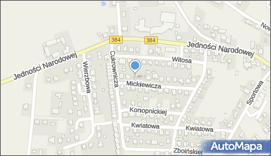 Krzysztof Radziewicz, ul. Adama Mickiewicza 20, Łagiewniki 58-210 - Przedsiębiorstwo, Firma, NIP: 9141139762