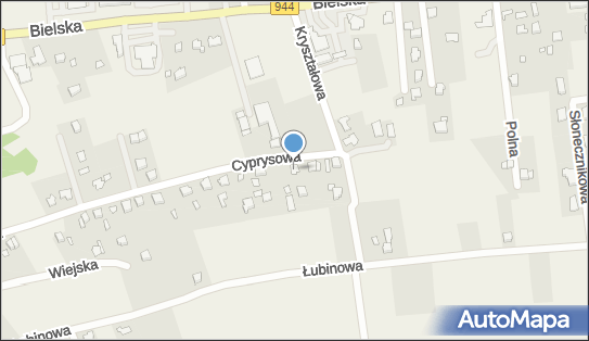 Krzysztof Raszka, Cyprysowa 377, Jaworze 43-384 - Przedsiębiorstwo, Firma, NIP: 9371208892