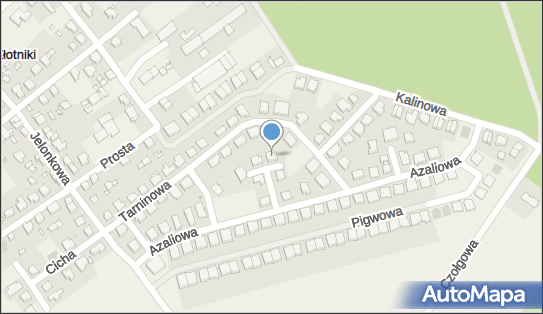 6971687706, Krzysztof Zbyszewski Company 