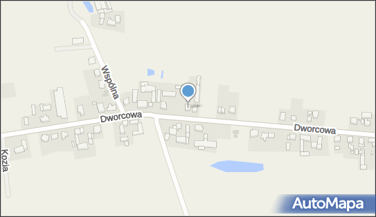Krzyżańska Aneta, Dworcowa 66, Chludowo 62-001 - Przedsiębiorstwo, Firma, NIP: 7770010989