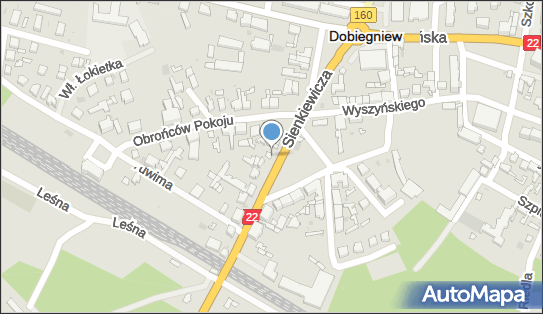 Księgarnia Wenus Bury Maria, ul. Sienkiewicza 9, Dobiegniew 66-520 - Przedsiębiorstwo, Firma, NIP: 5941000779