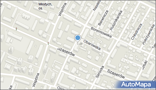 1130655639, Kuchnia XXI - 
