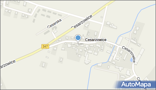 9130005503, Violetta Kulesza DE-LUX 