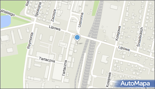 8231213651, Kulik Renata Usługi Transportowe, Hurtownia 