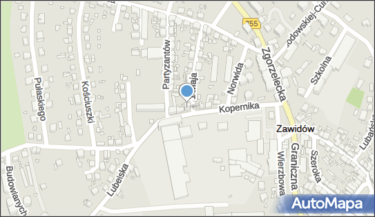 6150029735, Kupis Wojciech Warsztat Samochodowy, Zawidów 