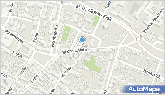 Kurczaki i Podroby, ul. Bodzentyńska 15, Kielce 25-736 - Przedsiębiorstwo, Firma, NIP: 9590083686