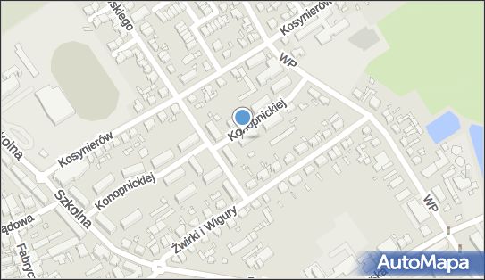 301497499, Servicepl Tomasz Kuroczycki 
