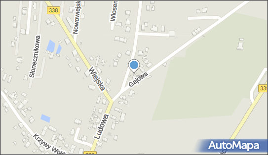 Kwiaciarnia Mario, ul. Gajowa NN, Wołów 56-100 - Przedsiębiorstwo, Firma, NIP: 9171064773