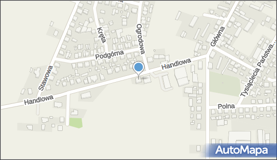Kwiaciarnia Paula Paulina Grześkowiak, Handlowa 7 64-061 - Przedsiębiorstwo, Firma, NIP: 9950085458