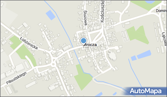 Kwiaciarnia pod Różą Witold Młynarczyk, 5 Stycznia 5, Mrocza 89-115 - Przedsiębiorstwo, Firma, NIP: 5581356042
