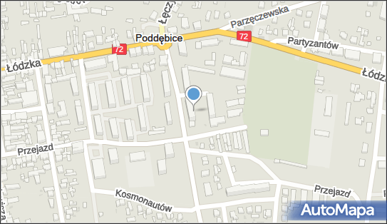 Kwiaciarnia Stokrotka Grażyna Gołębiowska, Zielona 6, Poddębice 99-200 - Przedsiębiorstwo, Firma, NIP: 8281064302