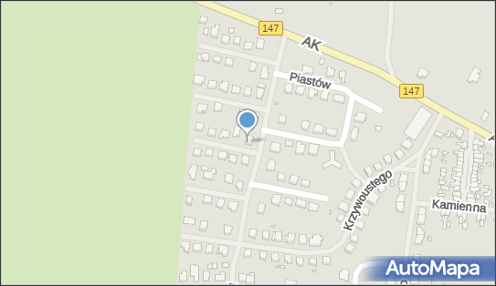 Łabaziewicz Wioletta Anika, ul. Księcia Racibora 2, Łobez 73-150 - Przedsiębiorstwo, Firma, NIP: 8541737986