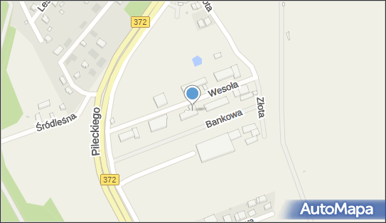 Labglass, ul. Wesoła 8, Łany 55-002 - Przedsiębiorstwo, Firma, numer telefonu, NIP: 8951617359