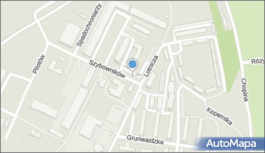 Labi Michał Łabędź, Szybowników 2C, Piła 64-920 - Przedsiębiorstwo, Firma, NIP: 7642464064