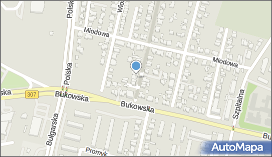 9720435593, Laboratorium Techniki Dentystycznej Fabiś Sylwia 