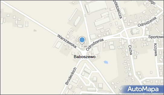 Łączyński Jarosław, Mini Bar Zagłoba, Odrodzenia 1, Baboszewo 09-130 - Przedsiębiorstwo, Firma, NIP: 5671015480