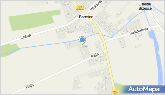 Ladies Włosy Paznokcie, ul. Mikołaja Reja 4, Brześce 05-507 - Przedsiębiorstwo, Firma, NIP: 1230890452