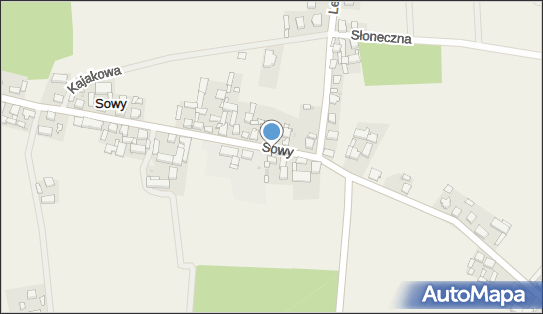 Lakiernictwo Pojazdowe Plewa Marcin, Sowy 77, Sowy 63-920 - Przedsiębiorstwo, Firma, NIP: 6991444384
