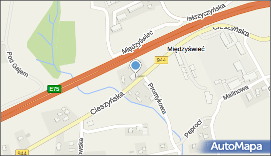 Lakiernictwo Pojazdowe, ul. Cieszyńska 148, Międzyświeć 43-430 - Przedsiębiorstwo, Firma, NIP: 5481030499