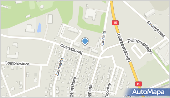 Lakiernictwo Samochodowe Kolor Ziemowit Lewandowski, Gniezno 62-200 - Przedsiębiorstwo, Firma, NIP: 7841279122