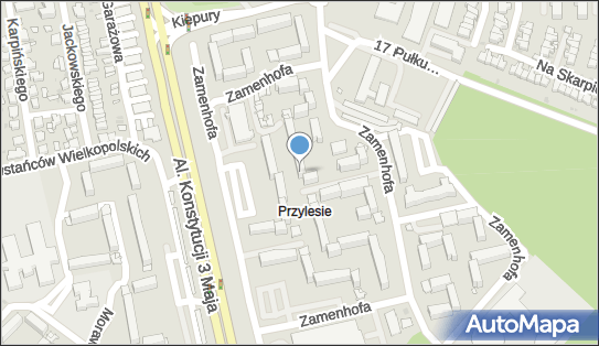 Language Zone, Zamenhofa Ludwika, dr. 47, Leszno 64-100 - Przedsiębiorstwo, Firma, NIP: 6972078949