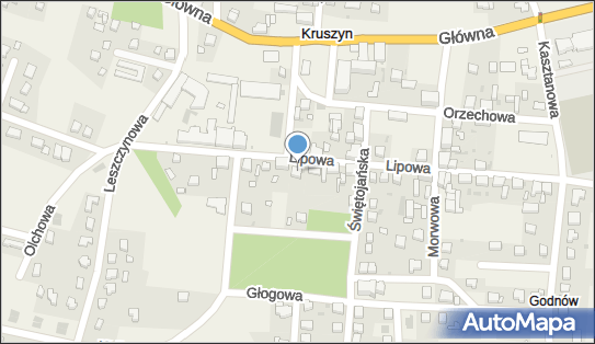 Laserwis Leszek Stefaniak, Lipowa 12, Kruszyn 59-700 - Przedsiębiorstwo, Firma, NIP: 6121424529