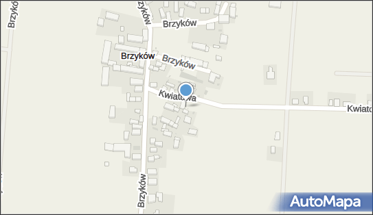 Łaskawski P., Brzyków, Brzyków 28A, Brzyków 55-100 - Przedsiębiorstwo, Firma, NIP: 9151323361