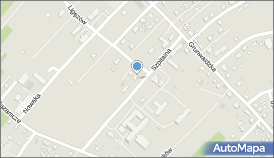 LASVEO, Szpitalna 2A, Dąbrowa Tarnowska 33-200 - Przedsiębiorstwo, Firma