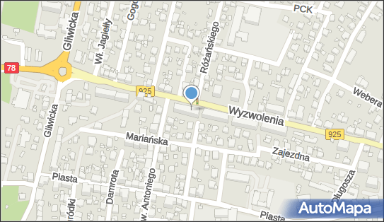 LCS Leo Syrnik, Wyzwolenia 16, Rybnik 44-200 - Przedsiębiorstwo, Firma, NIP: 6423184341