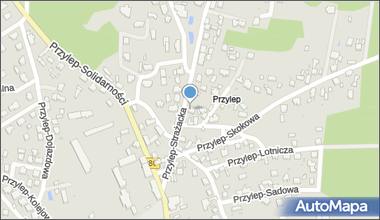 LCT Projekt Przemysław Błoch, Przylep-Strażacka 3, Zielona Góra 66-015 - Przedsiębiorstwo, Firma, NIP: 9730543143