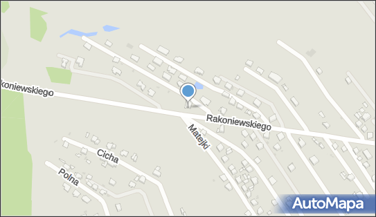 9690934942, Lech Brdak 