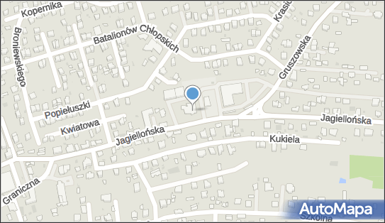 Lecznica Dla Zwierząt, ul. Jagiellońska 39A, Dąbrowa Tarnowska 33-200 - Przedsiębiorstwo, Firma, NIP: 8711550236