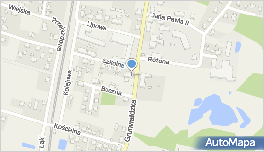Lecznica Dla Zwierząt, Grunwaldzka 61, Ryjewo 82-420 - Przedsiębiorstwo, Firma, numer telefonu, NIP: 5811466663