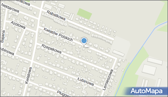 Lek Med Specjalista Anestezjologii i Intensywnej Terapii, Łódź 94-214 - Przedsiębiorstwo, Firma, numer telefonu, NIP: 7271496910