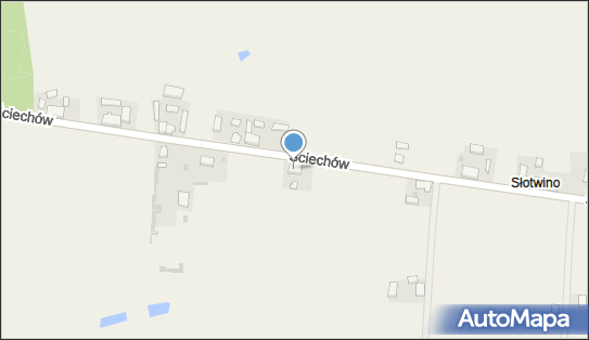Lekarz Medycyny Ogólnej, Ściechów 30, Ściechów 66-433 - Przedsiębiorstwo, Firma, NIP: 5971129420