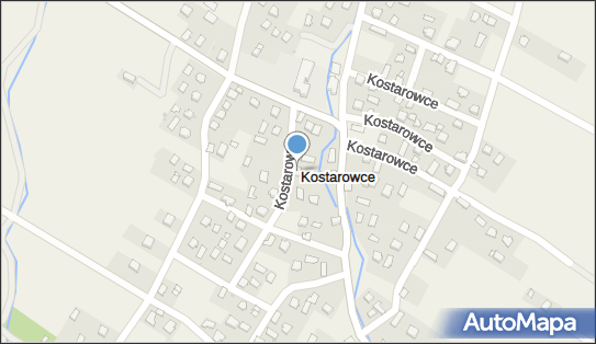Len-Trans, Kostarowce 71, Kostarowce 38-507 - Przedsiębiorstwo, Firma, NIP: 6871874018