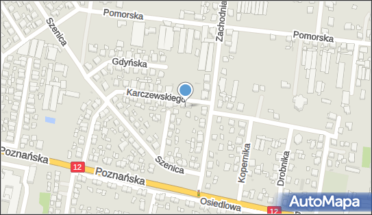 Leo Centrum Sławomir Szkudlarek, Karczewskiego 1, Pleszew 63-300 - Przedsiębiorstwo, Firma, NIP: 6171559510