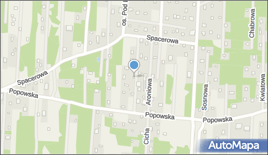 Leomultimedia Krzysztof Adamczewski, Wichrowych Wzgórz 3 05-140 - Przedsiębiorstwo, Firma, NIP: 1131989319