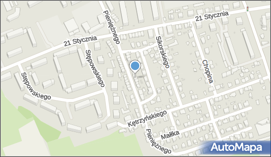 7411539247, Leon Dozór Systemy Alarmowe Zabezpieczenia Techniczne Rypina Stanisław 