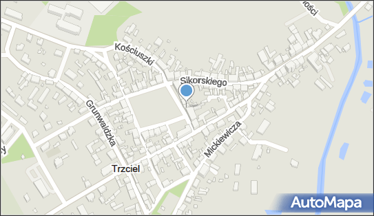 Leon Szmidchen, pl. Zjednoczenia Narodowego 12, Trzciel 66-320 - Przedsiębiorstwo, Firma, NIP: 5961027586