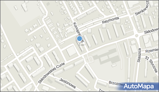 5910009408, Leon Szulc 