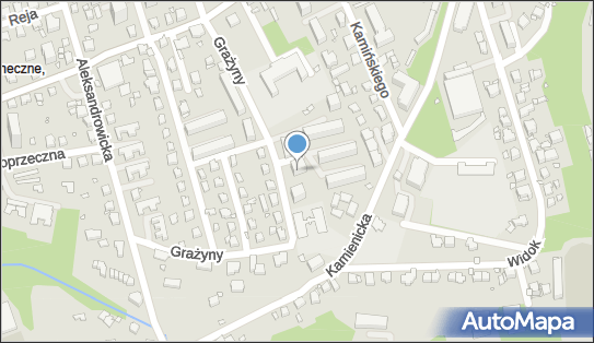 Leon Trans, Grażyny 13, Bielsko-Biała 43-300 - Przedsiębiorstwo, Firma, NIP: 5471198168