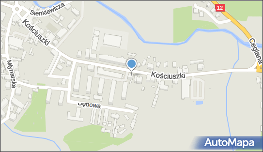 Lera Adrianna Pańtak, ul. Kościuszki 29, Szprotawa 67-300 - Przedsiębiorstwo, Firma, NIP: 9241664491