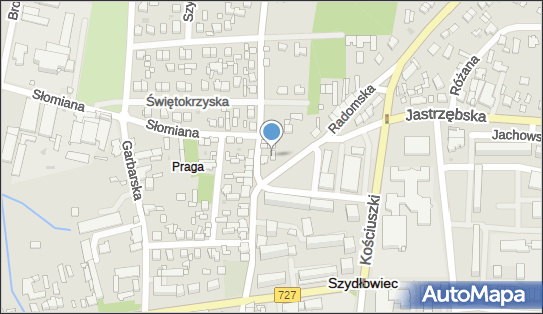 Leszek Piechota, Radomska 65, Szydłowiec 26-500 - Przedsiębiorstwo, Firma, NIP: 7961160582