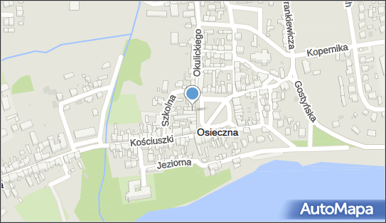 Levelup Konrad Kasprzycki, Rynek 6, Osieczna 64-113 - Przedsiębiorstwo, Firma, NIP: 6972118005