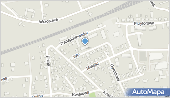 Lew Transport Tomasz Łoński, Wojska Polskiego 6, Czersk 89-650 - Przedsiębiorstwo, Firma, NIP: 5551943220